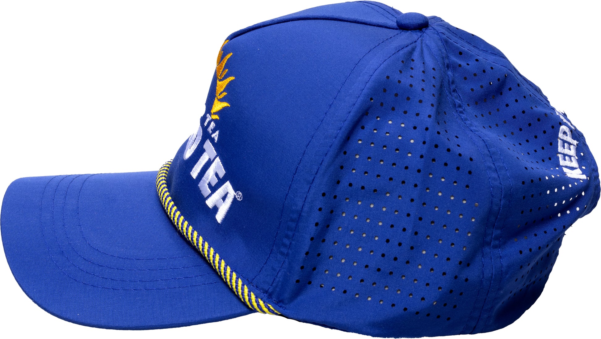 Side and back view of a blue Twisted Tea baseball cap with perforated mesh panels, curved brim, rope detail, and embroidered logo accents.