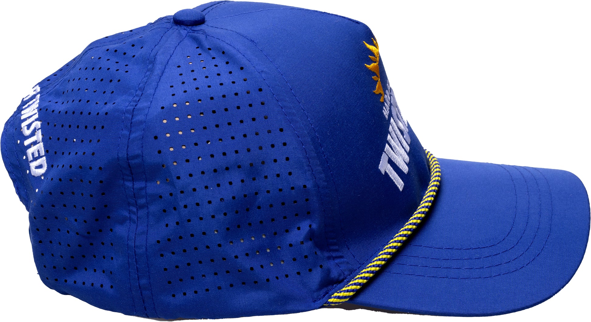 Side and back view of a blue Twisted Tea baseball cap with perforated mesh panels, curved brim, rope detail, and embroidered logo accents.